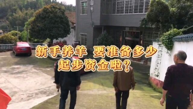 新手回农村养黑山羊创业,要准备多少起步资金?