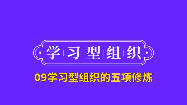 09学习型组织的五项修炼2