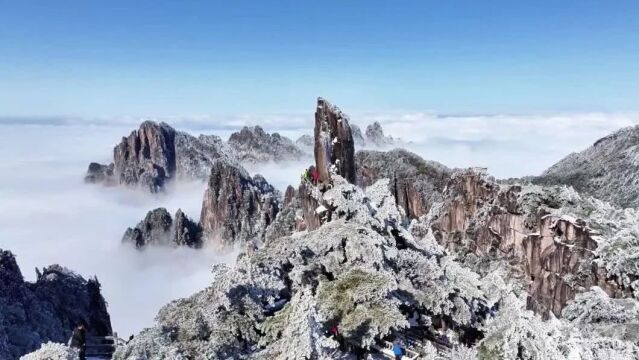 【365瞰黄山】松石相邀,共赏黄山美景