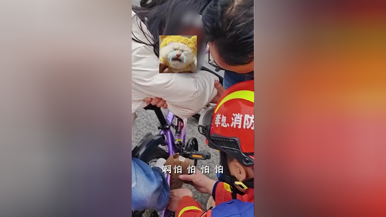 小女孩脚被卡自行车,哭着问道:会不会死掉?