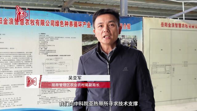 走读湘村强富美滨湖水牛的幸福生活住在度假村过冬不掉膘