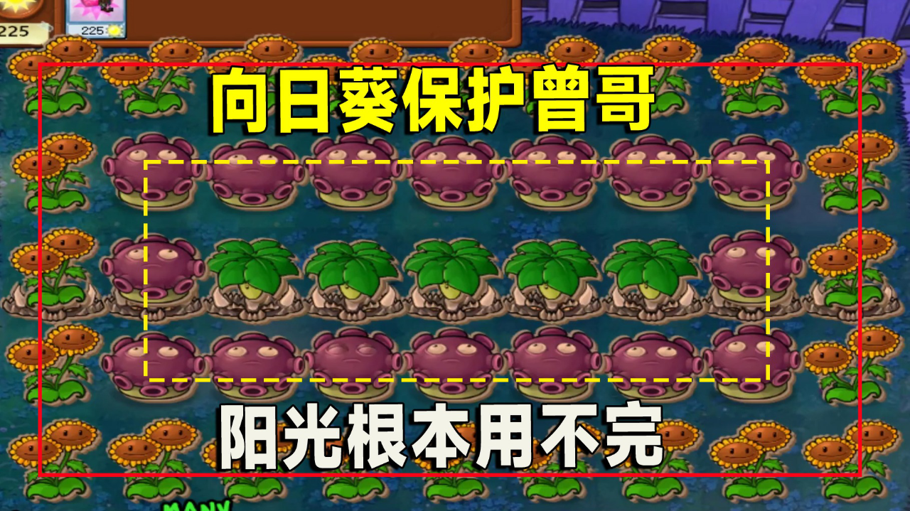 ֲｩ:տ,òò