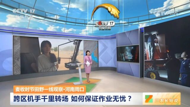 中央电视台现场直播淮阳麦收情况
