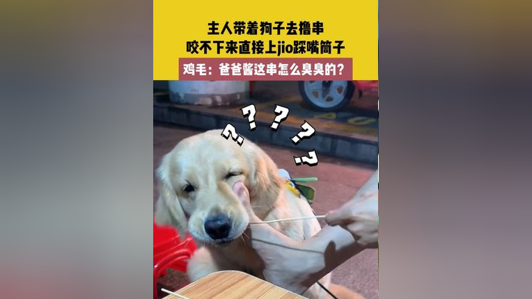 广东,主人带着狗子去撸串,咬不下来直接上jio踩嘴筒子,鸡毛:爸爸酱这