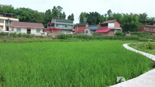 因地制宜,深入推进农村面貌改善行动