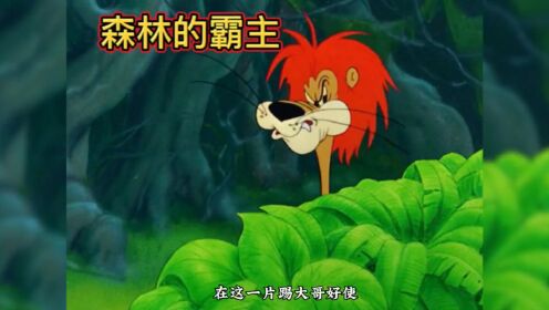 森林之王大狮子,没想到会怕老鼠,到底谁才是王者