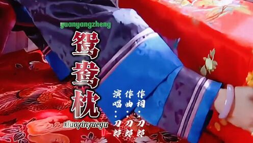 刀郎〈鸳鸯枕〉:触动心灵的感人之作