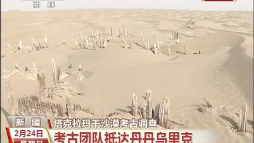 塔克拉玛干沙漠考古调查