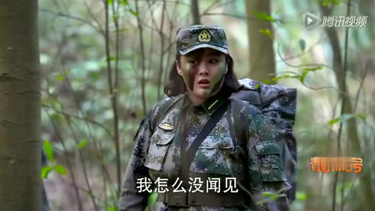 青春集结号 15集