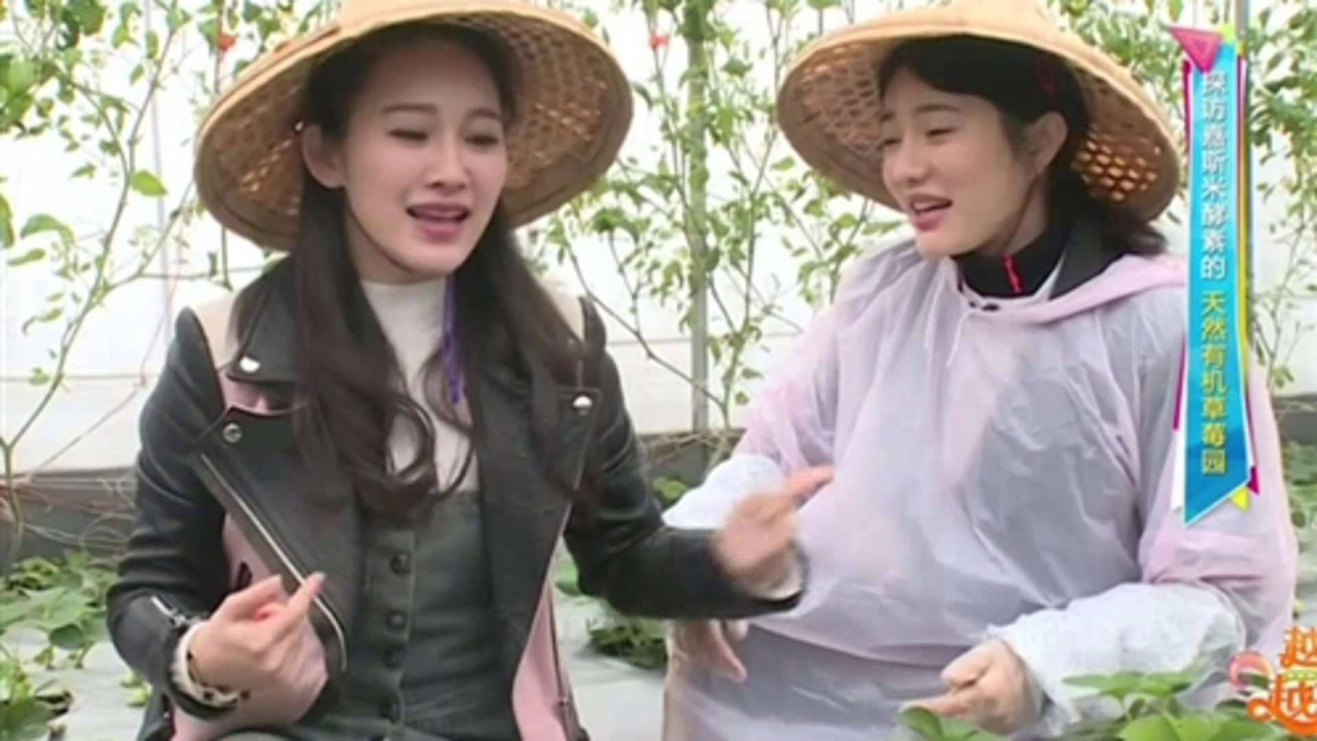 台菜创意水果入菜 蹦出新滋味
