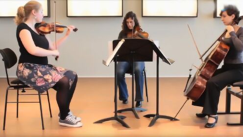 Schubert string trio in Bb. D 471. Allegro