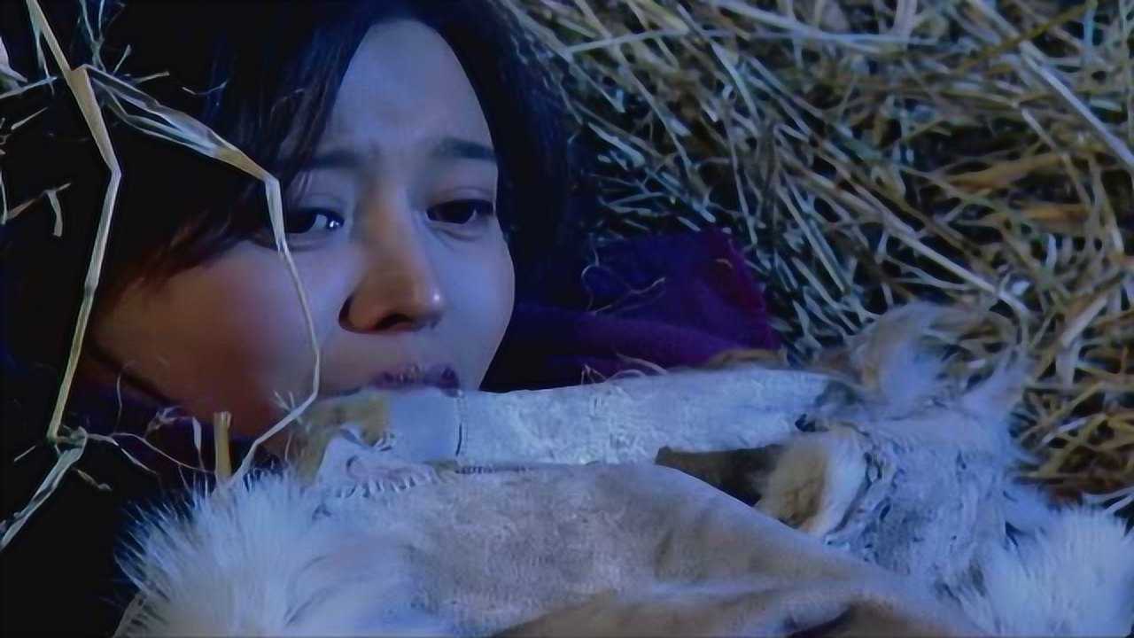 走戈壁的女人 1集
