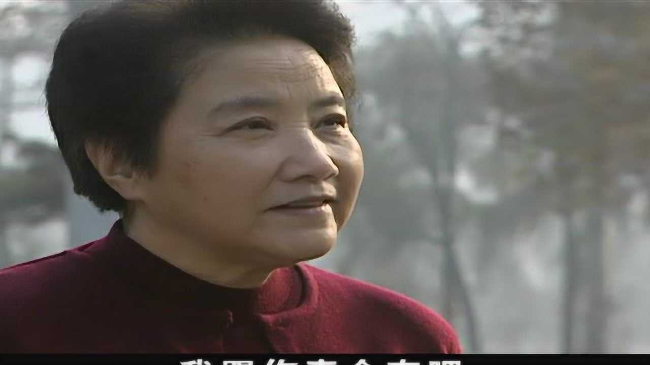 忠诚卫士 11集