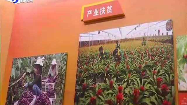 金凤区组织参观自治区成立60周年大型成就展