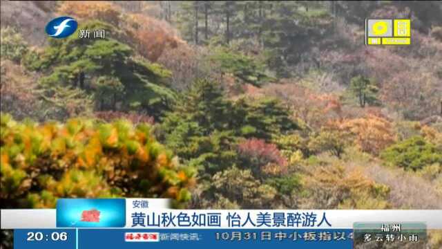 安徽 黄山秋色如画 怡人美景醉游人