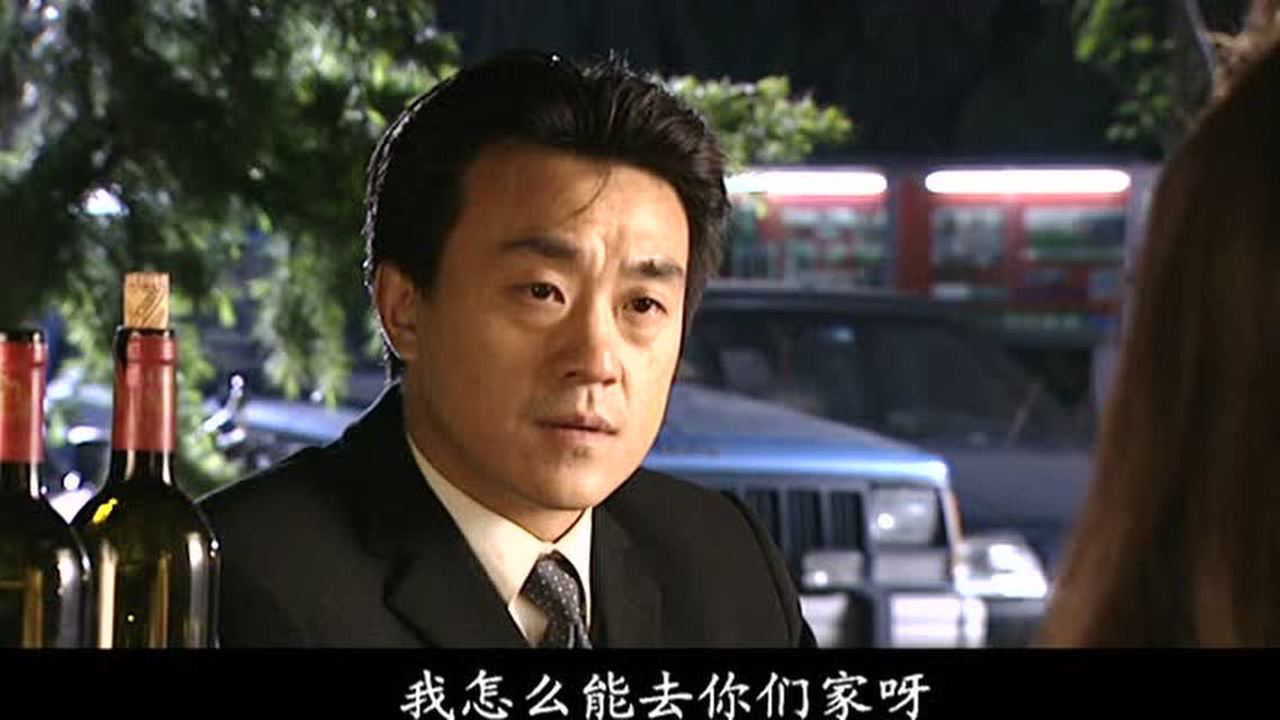 爱如风过 13集