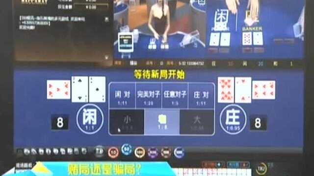 赌局还是骗局?交友软件认识“亲爱的” 一周能赚50万?