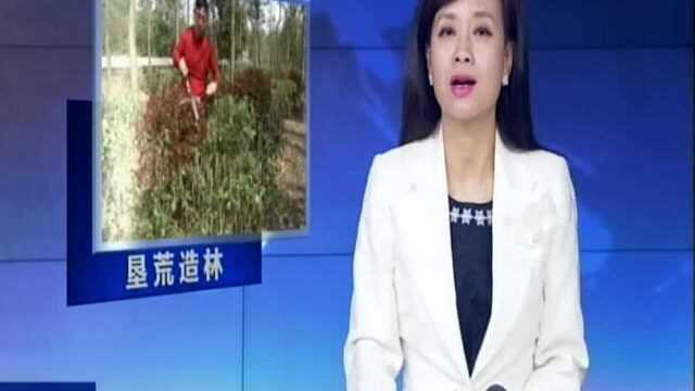 丹阳:昔日荒山见葱郁 我造青山寄后人