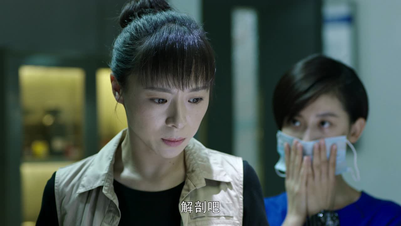 冷案 9集