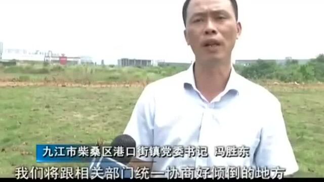 九江柴桑区:湖边垃圾场已被填埋并复绿 政府将加大监管力度