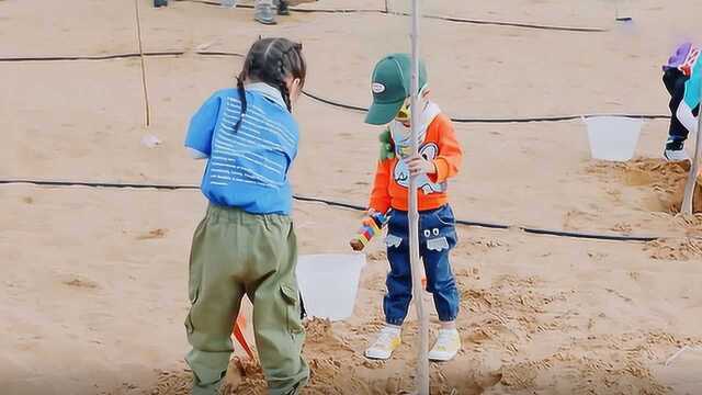 浚文小奶音频捣乱,佐伊给小树取名惹弟弟不高兴