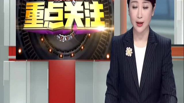 长沙橘洲景区清淤,预计下周开园迎客:焰火广场今日露出水面 600人上阵清淤