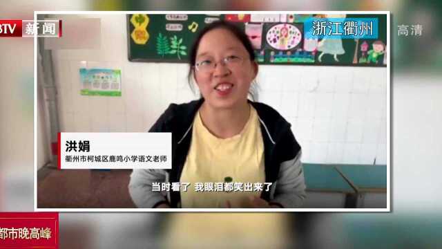 浙江衢州:小学生拔河比赛 老师“指挥式”加油笑翻网友