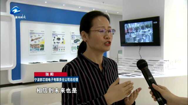 学榜样 践初心 宁波杭州湾新区投资合作局——招商引资交出完美答卷