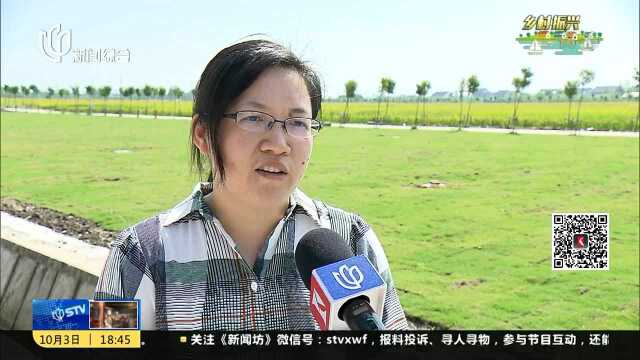 奉贤迎龙村:探索公益服务社 助力村民家门口就业