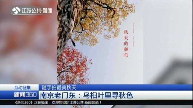 南京老门东:乌桕叶里寻秋色