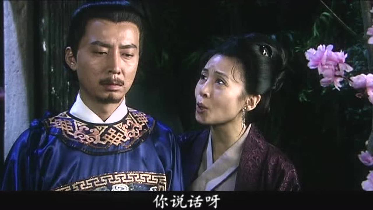 清风明月佳人 25集