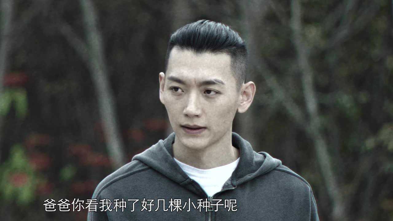 焕脸 24集
