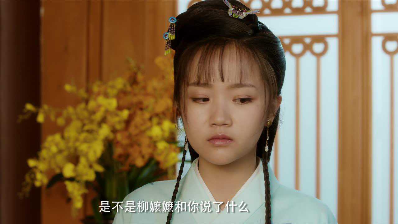 少爷与我的罗曼史 22集