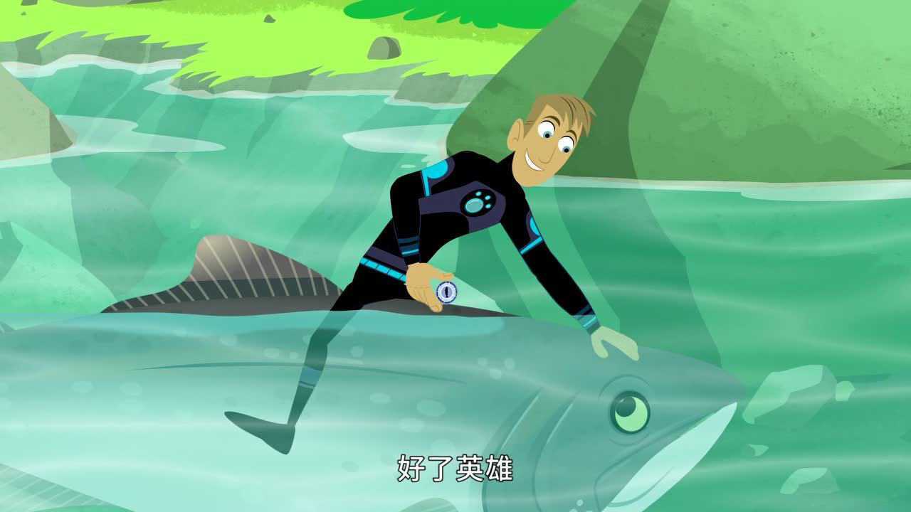 动物兄弟5:动物兄弟变身红鲑鱼逆流而上_腾讯视频
