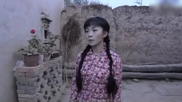 上门女婿01精彩片段