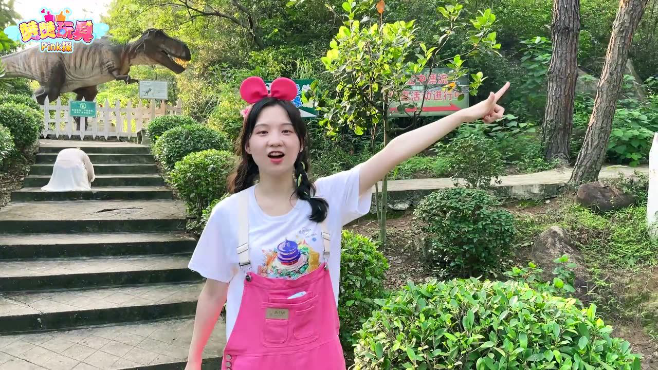 赞赞玩具Pink探：益智之旅 18集