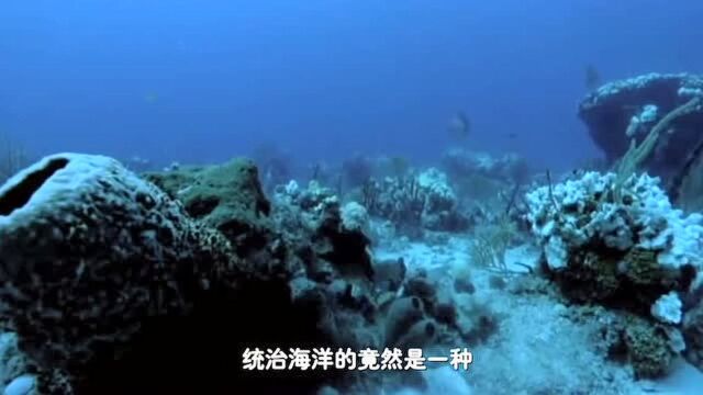 3.遨游在海洋中的“大个头”—鱼龙精彩片段