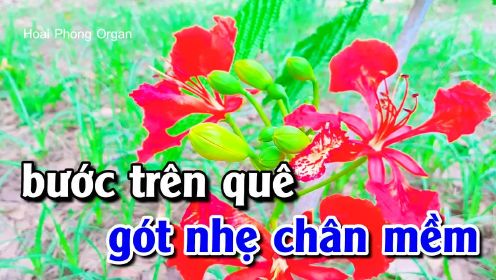 Đưa Em Vào Hạ - Tone Nam