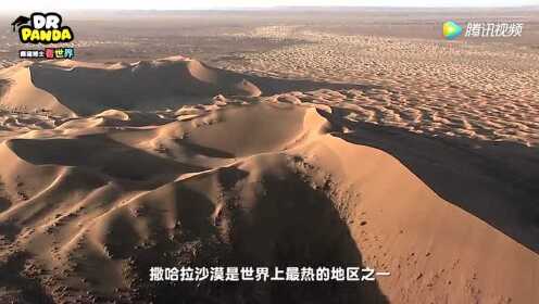 熊猫博士看世界：奇幻非洲历险记：沙漠中顽强生存的动物们