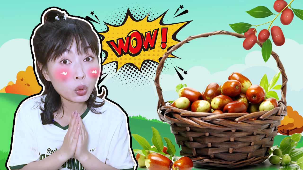 奇探队长：农场劳动季 22集