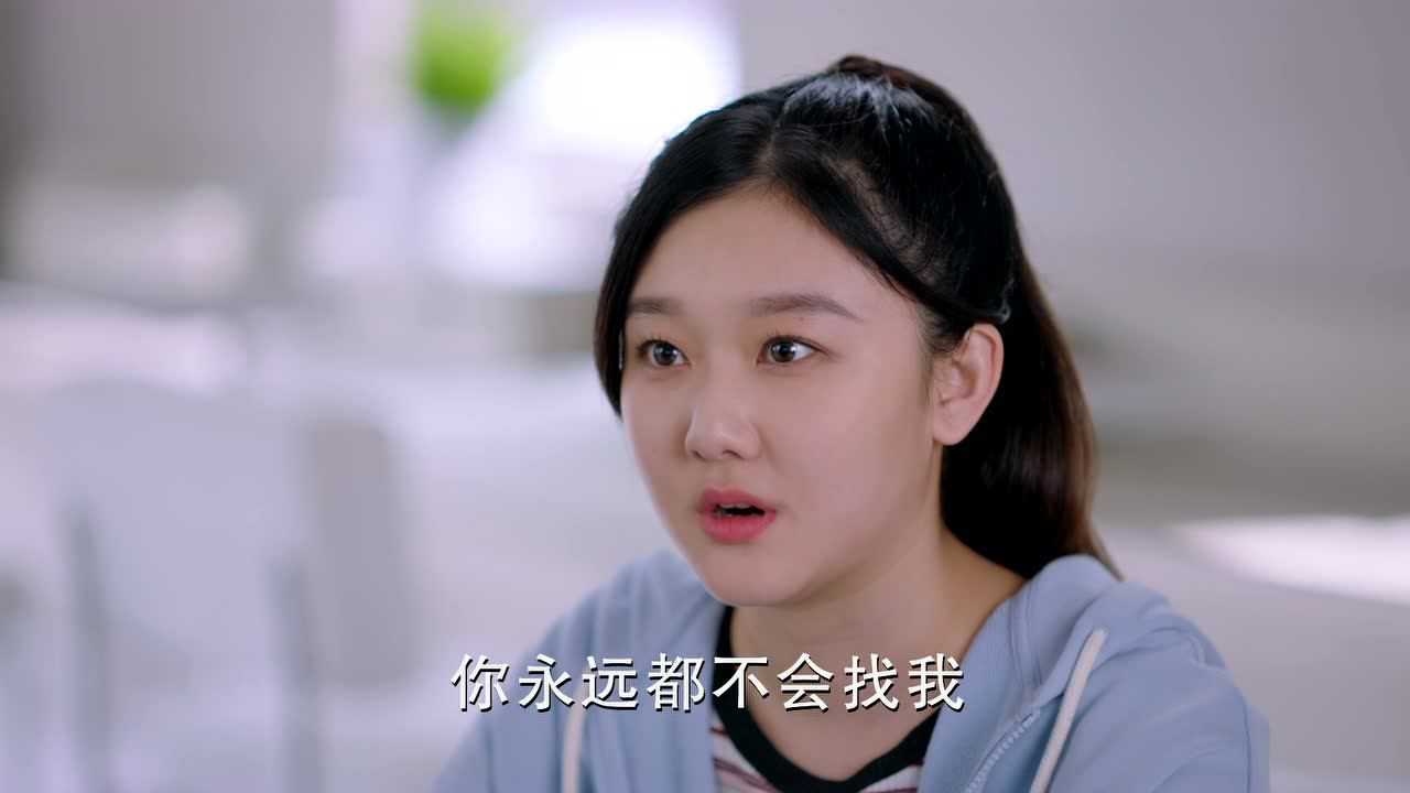 陪你逐风飞翔 33集