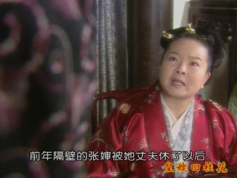 皇嫂田桂花2 28集