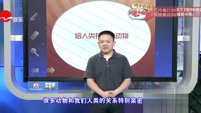 男子叫方向盘在网络爆红