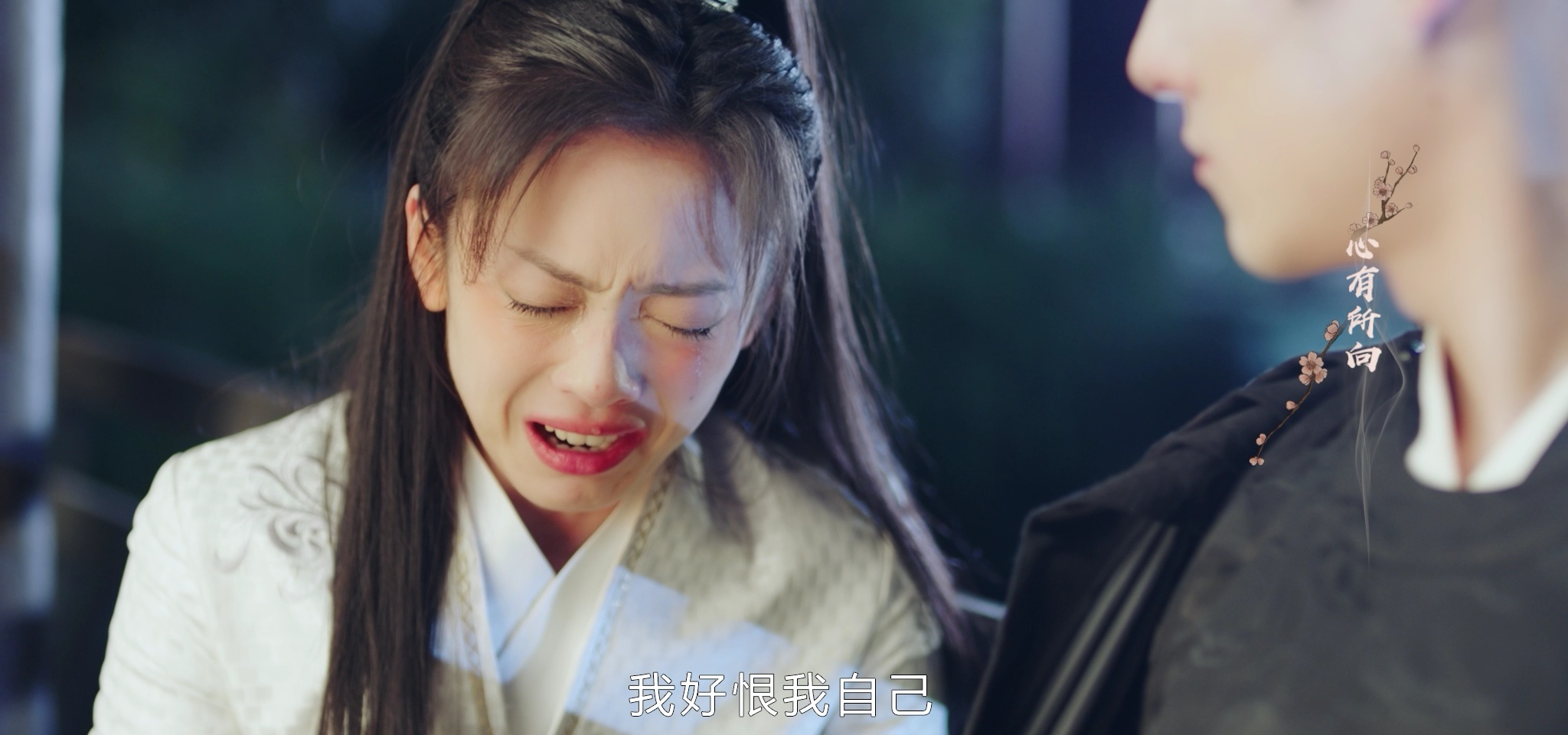 双面赘婿第2季 5集