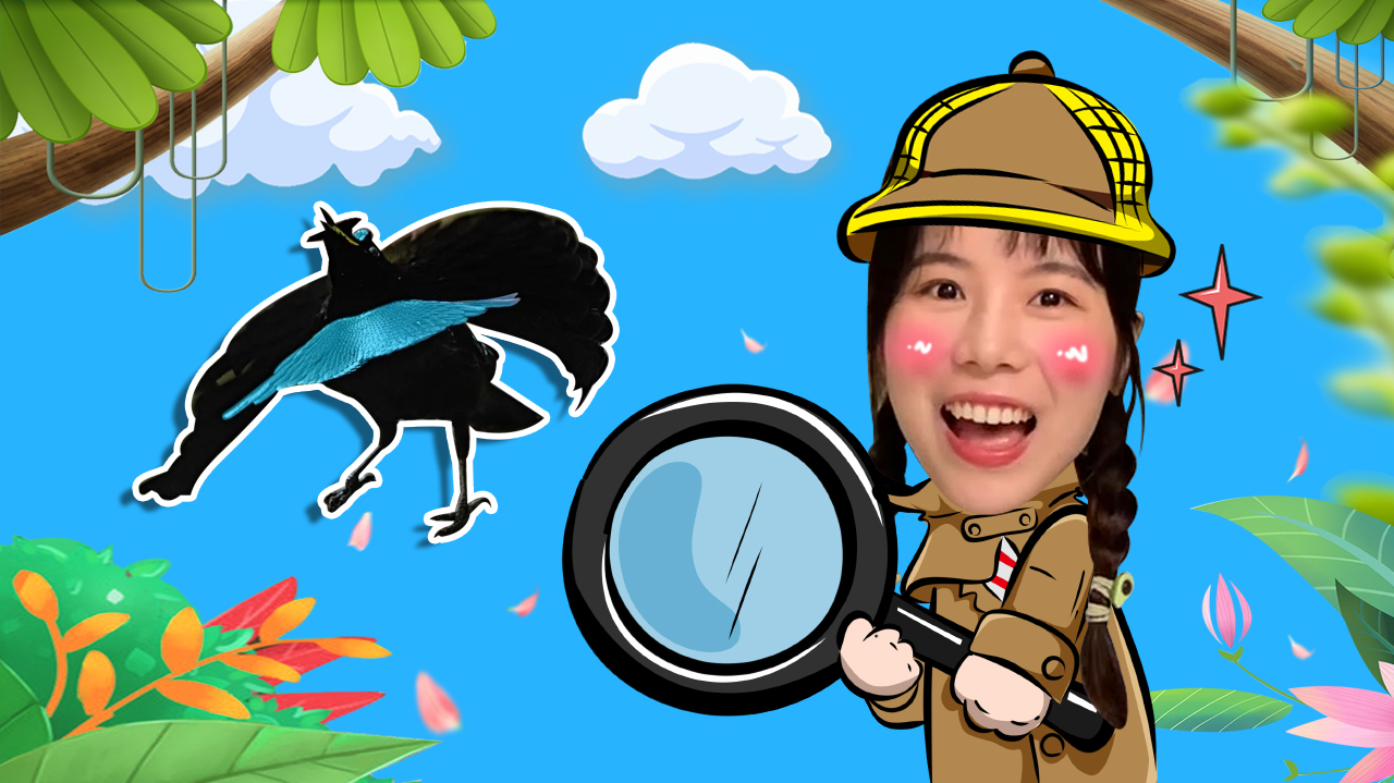 苏菲亚来了：探奇妙知识 62集