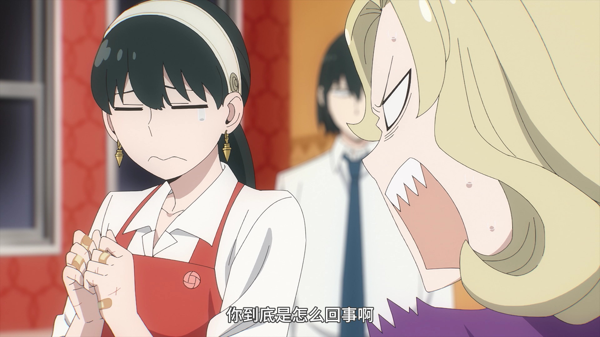 间谍过家家 普通话版 16集