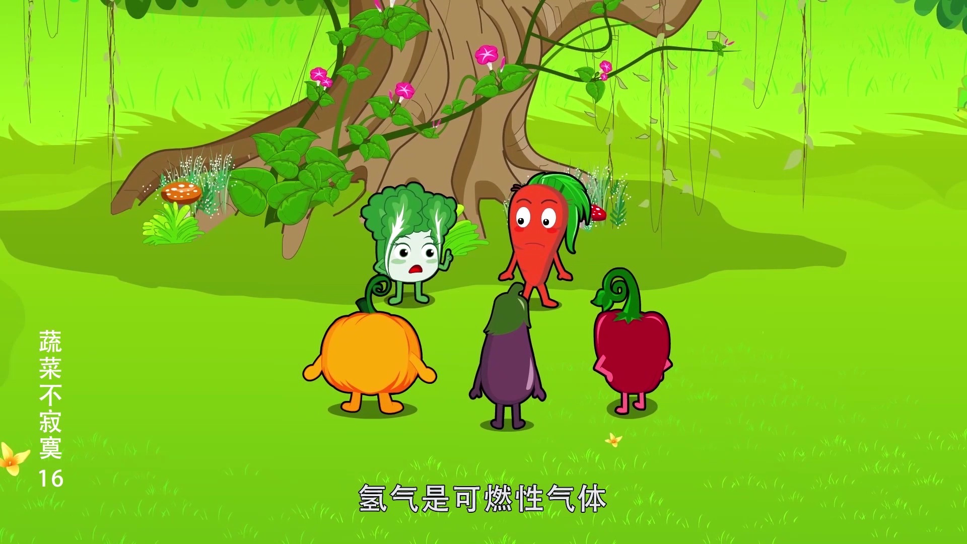 蔬菜不寂寞16 16集