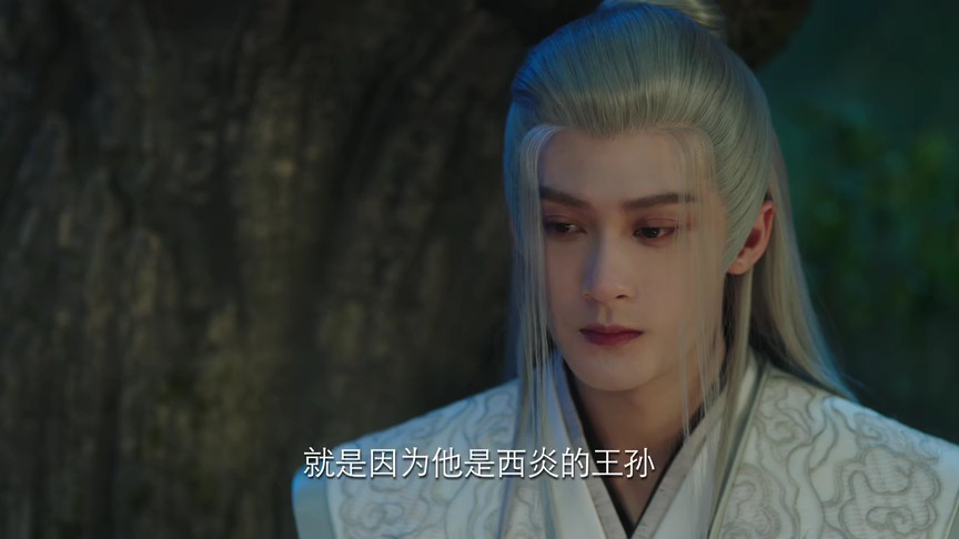 长相思 第一季 11集