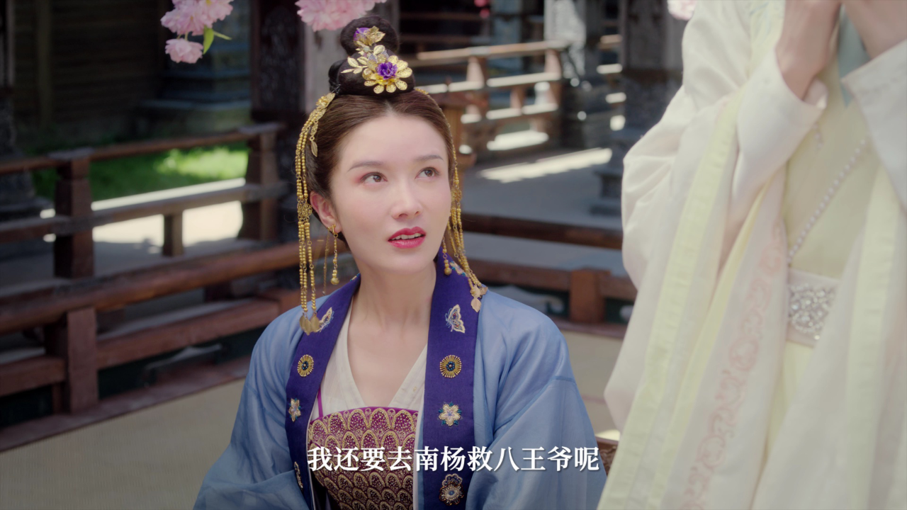 进击的王妃 10集
