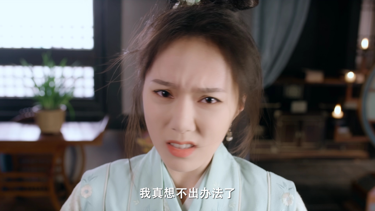良辰美景又逢君 24集